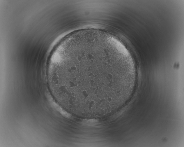 X0000113180784200910161331