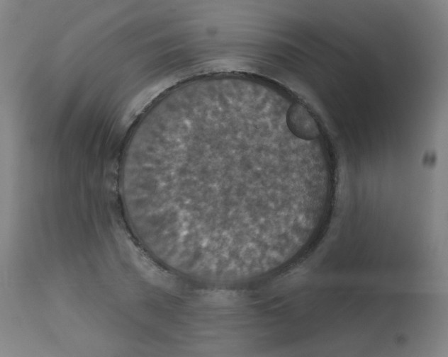 X0000113180785200910161331