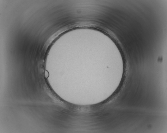 X0000113180786200910161331