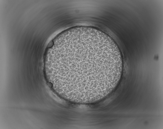 X0000113180787200910161330
