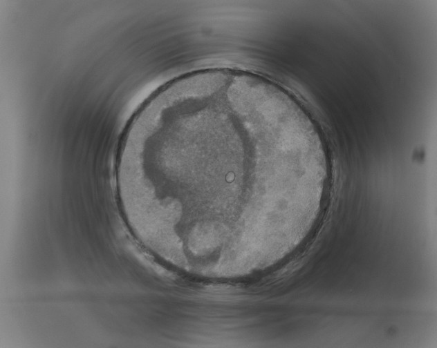 X0000113180788200910161330