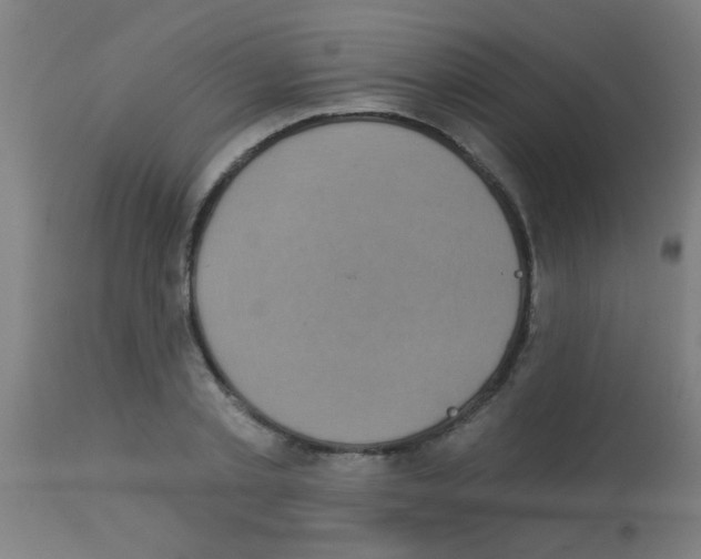 X0000113180789200910161330