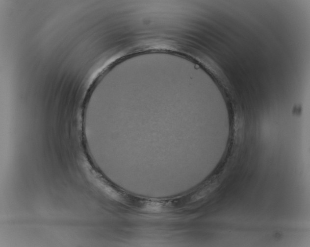 X0000113180790200910161330