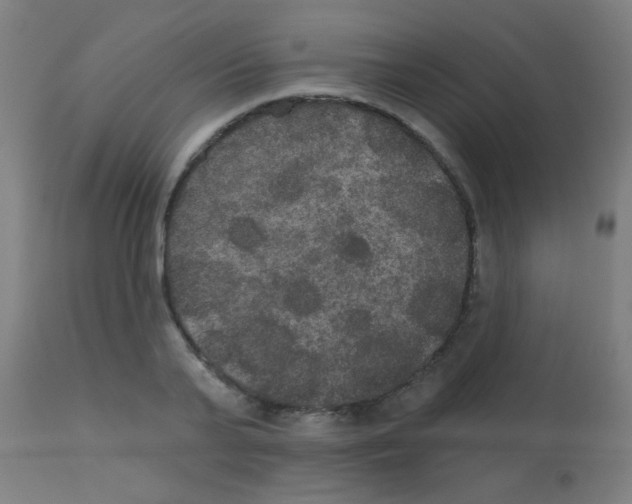 X0000113180791200910161330