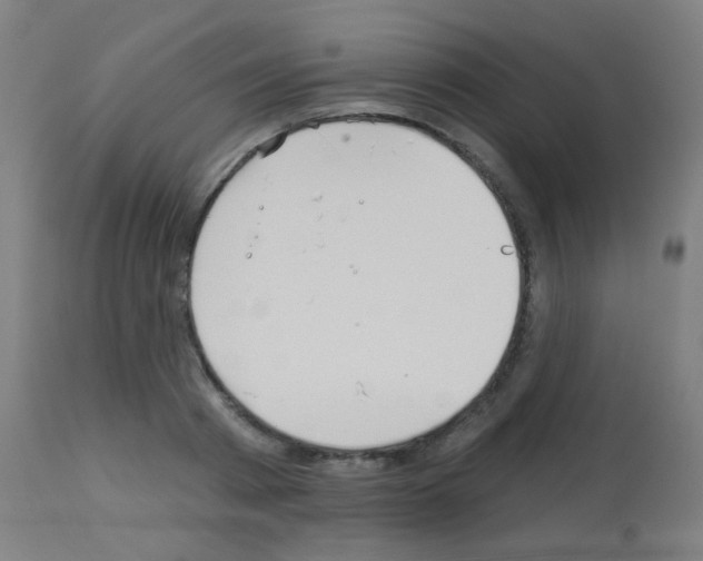 X0000113180793200910161330