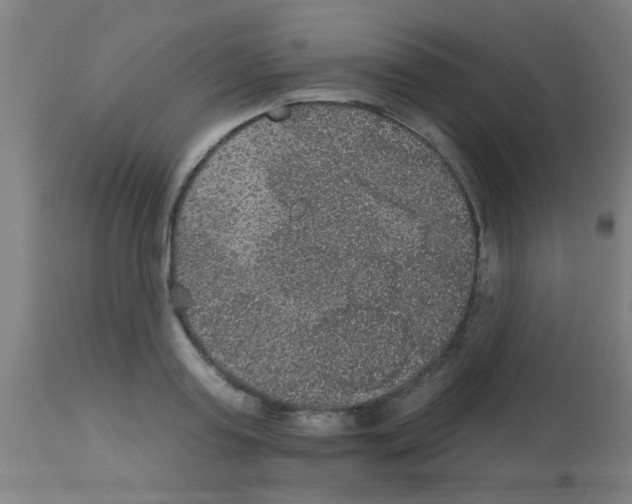 X0000113180795200910161330