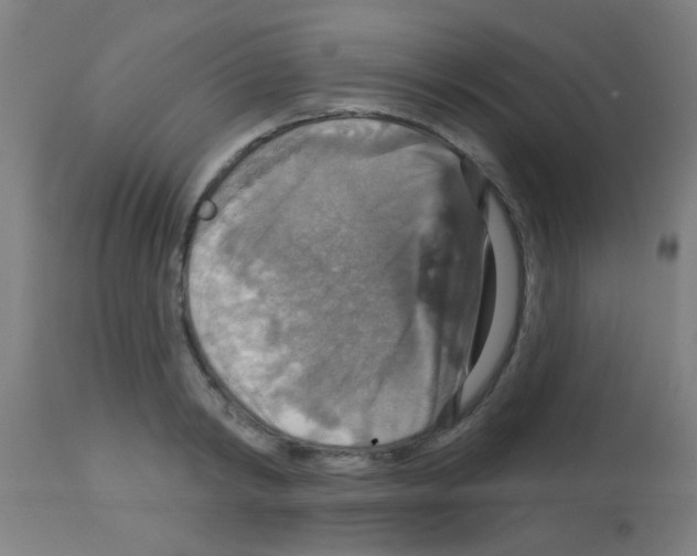 X0000113180798200910161330