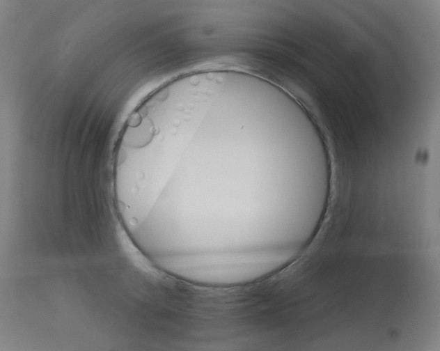 X0000113180800200910161330