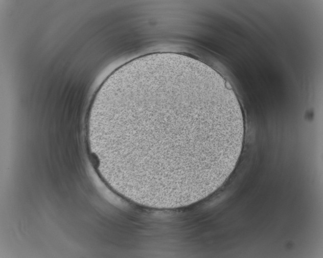 X0000113180803200910161330