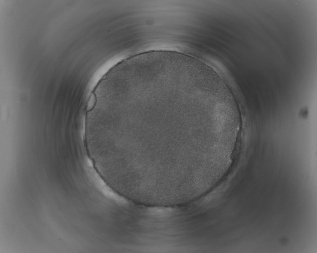 X0000113180804200910161330