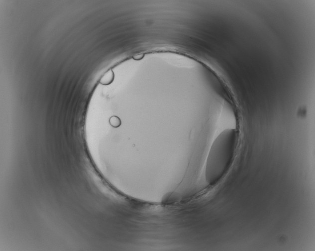 X0000113180806200910161330