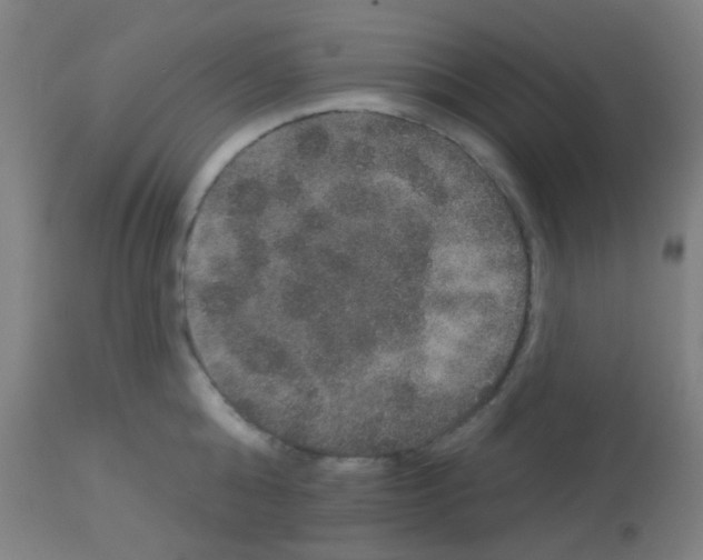 X0000113180808200910161330