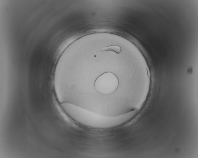 X0000113180810200910161330