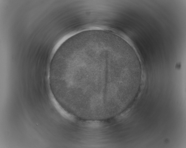 X0000113180811200910161330