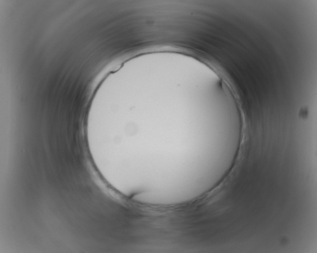 X0000113180813200910161330