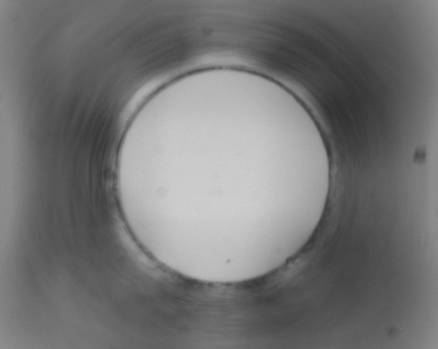 X0000113180815200910161330