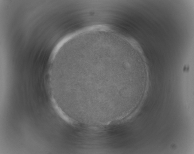 X0000113180816200910161330
