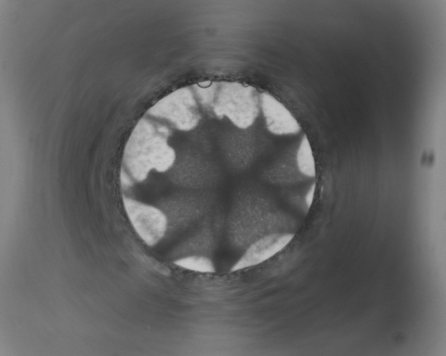 X0000113180817200910161329