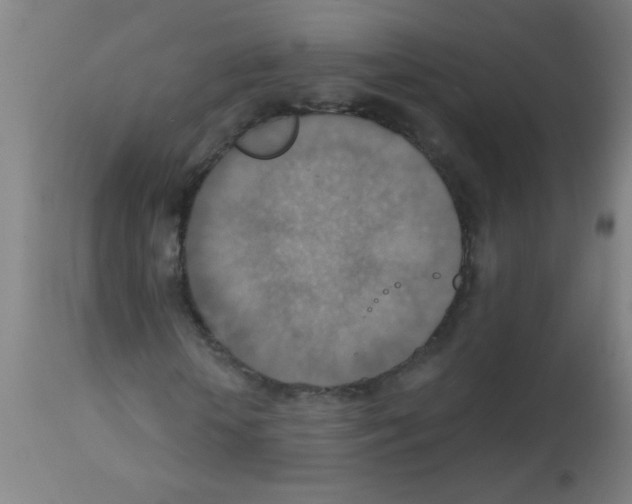 X0000113180818200910161329