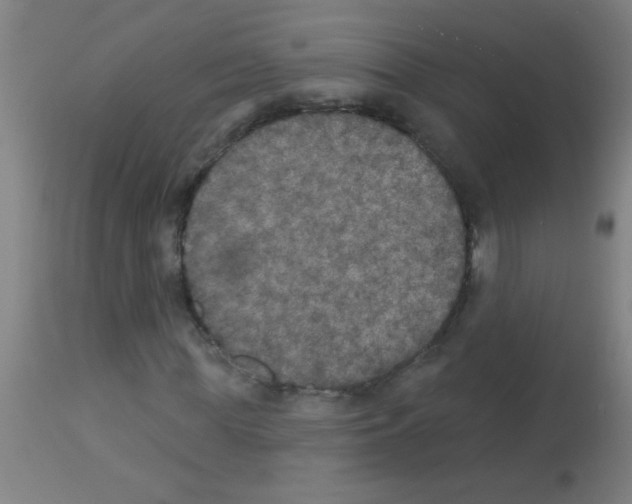 X0000113180819200910161329