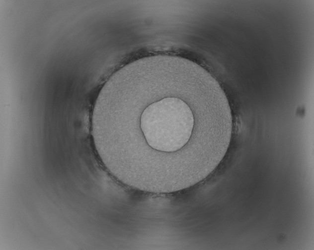 X0000113180820200910161329