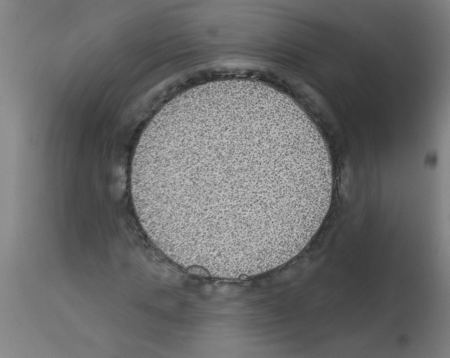 X0000113180821200910161329