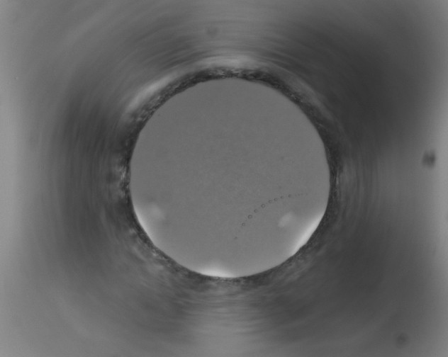 X0000113180822200910161330