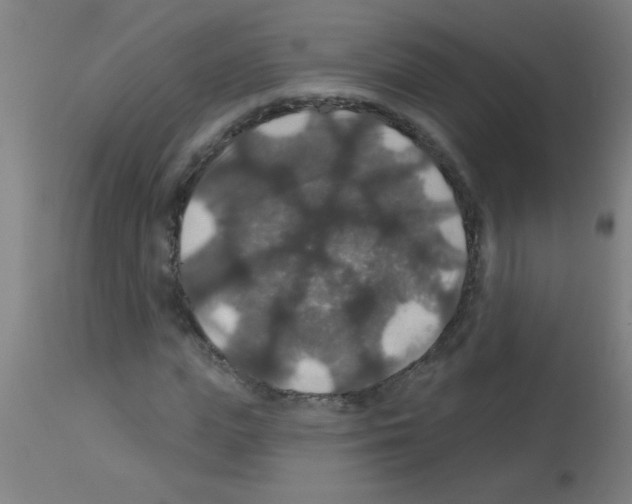 X0000113180823200910161330