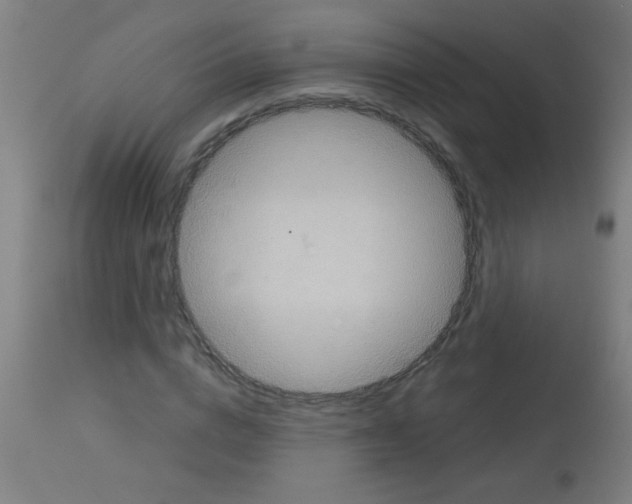 X0000113180824200910161330