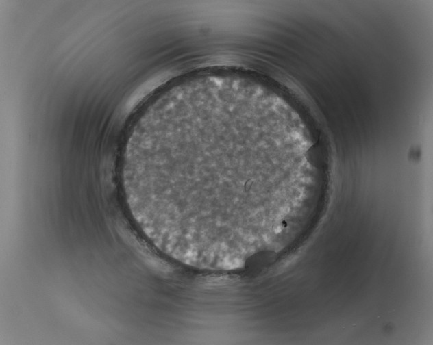 X0000113180826200910161330
