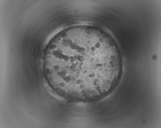 X0000113180827200910161330