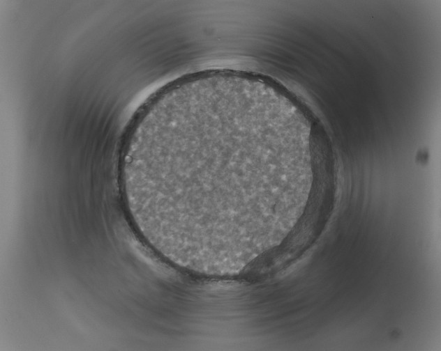 X0000113180830200910161330