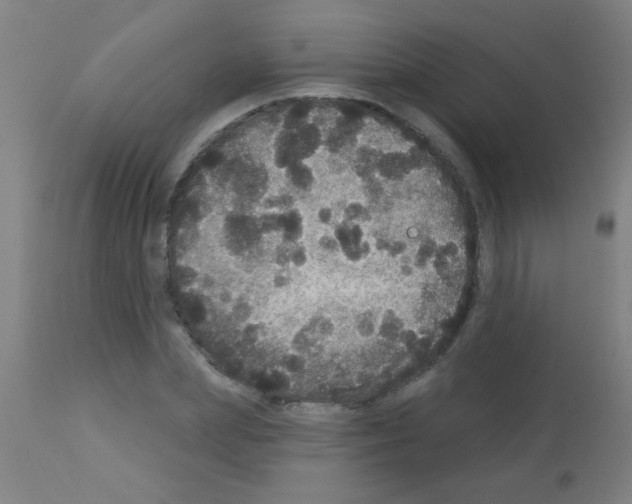 X0000113180831200910161330