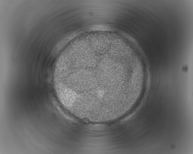X0000113180833200910161330