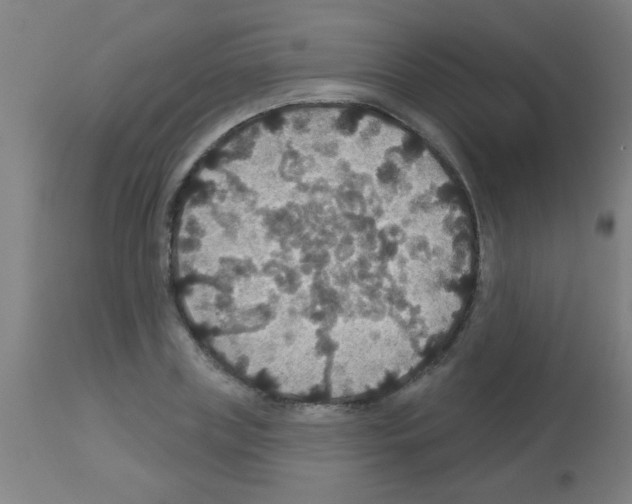 X0000113180835200910161330