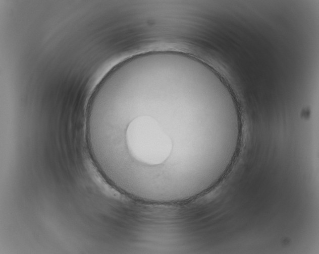 X0000113180836200910161330