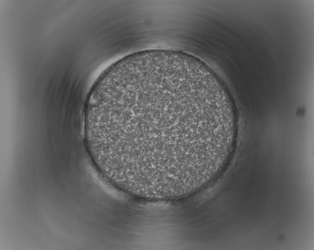 X0000113180838200910161330