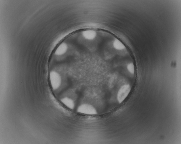 X0000113180839200910161330
