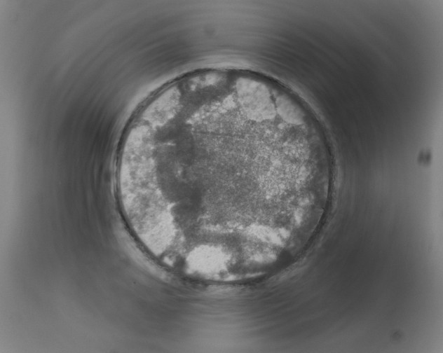 X0000113180840200910161330