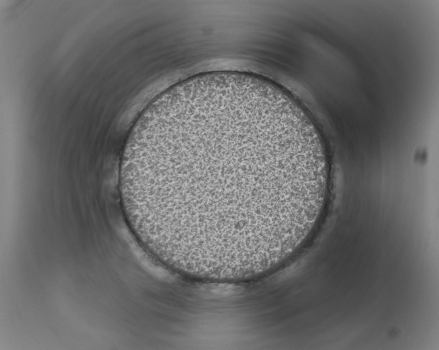 X0000113180841200910161330