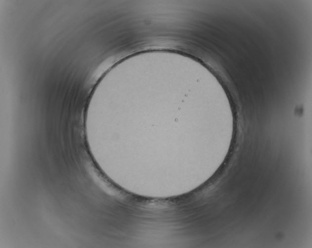 X0000113180842200910161330
