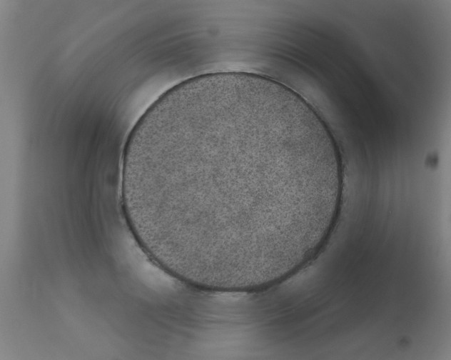 X0000113180844200910161330