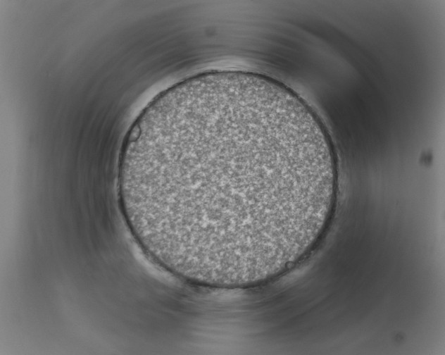 X0000113180845200910161330