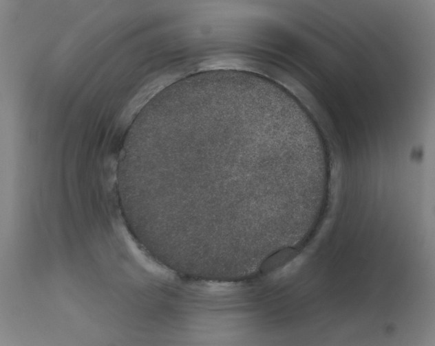 X0000113180849200910161330