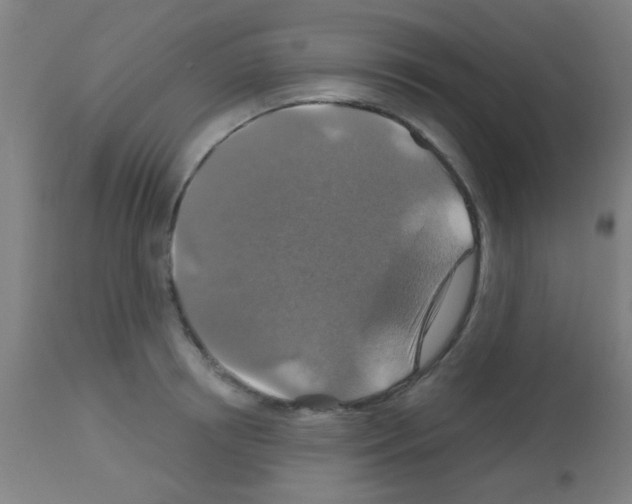 X0000113180850200910161330