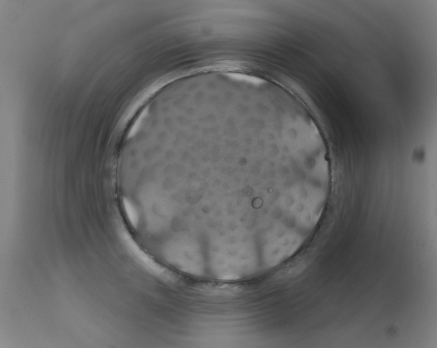 X0000113180851200910161330