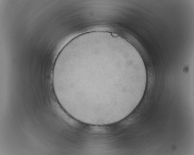 X0000113180852200910161330