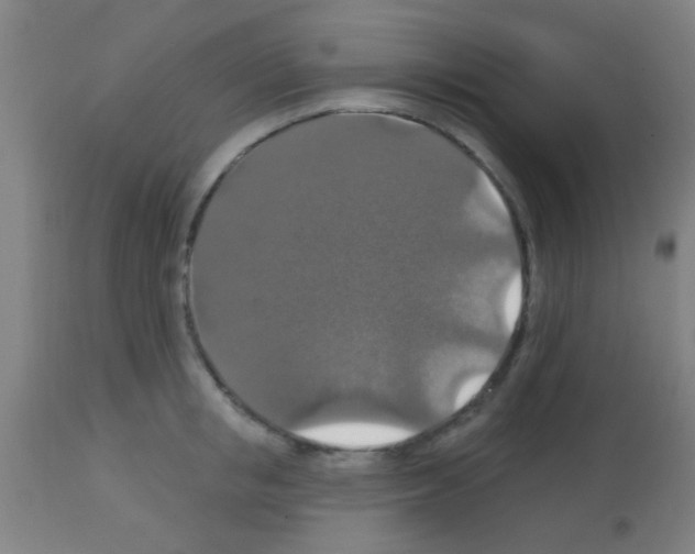 X0000113180853200910161330