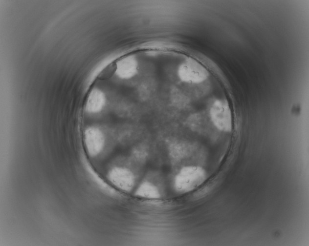X0000113180855200910161330