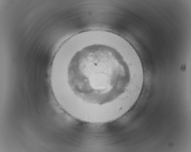 X0000113180856200910161330